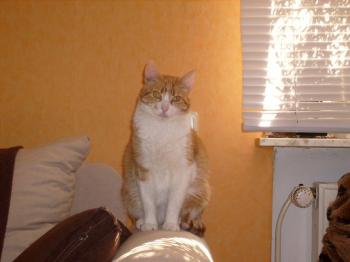 ginny Bild von Gene