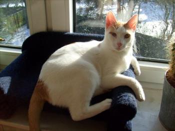Fritzi Bild von Kike
