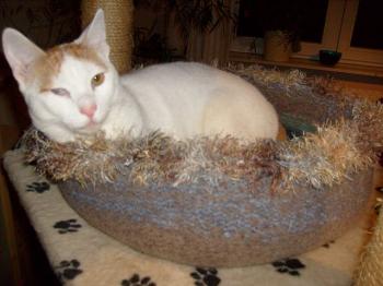 Fritzi Bild von Kike