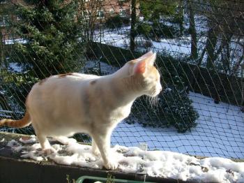 Fritzi Bild von Kike