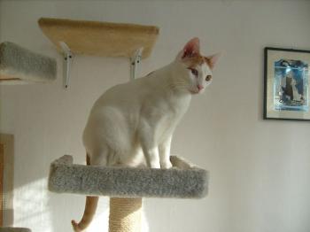 Fritzi Bild von Kike
