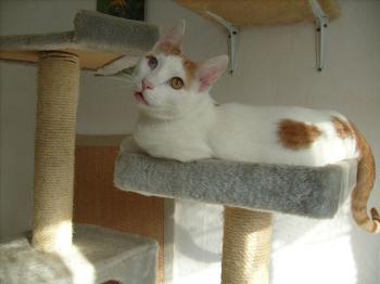 Fritzi Bild von Kike