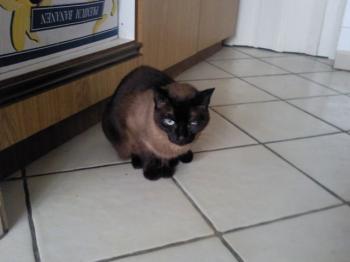 Mika Bild von Mika