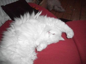 Lian Bild von Lian