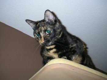 Tina Bild von Tina