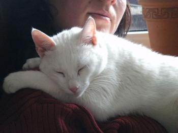 Margo Bild von Margo