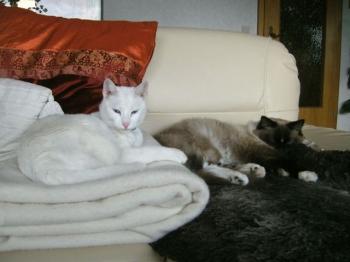 Margo Bild von Margo