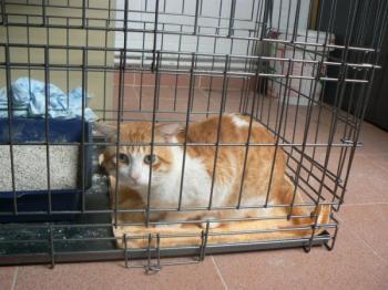 Milow Bild von Milow