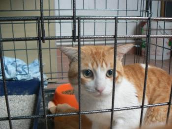 Milow Bild von Milow