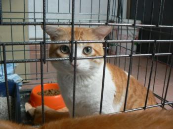 Milow Bild von Milow