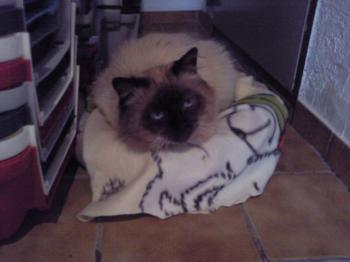 Bild von Klaus