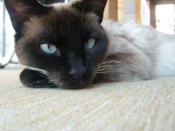 Bibi Bild von Bibi