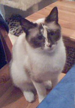 Sarah Bild von Sarah