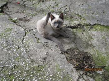 Sammy Bild von Sammy