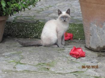 Sammy Bild von Sammy