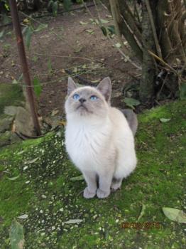 Sammy Bild von Sammy