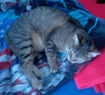 Fiona Bild von Fiona