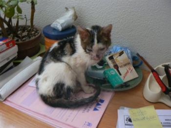 Freddie Bild von Freddie