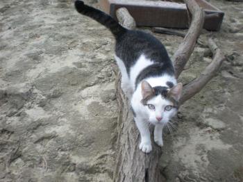 Ricardo Bild von Ricardo