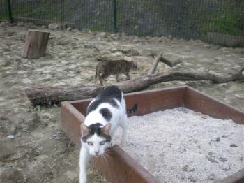 Ricardo Bild von Ricardo