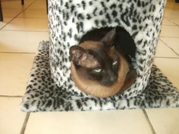 Mika Bild von Mika
