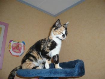 Holly Bild von Holly