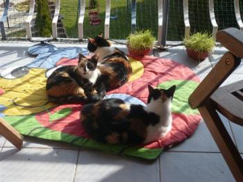 Bild von Mina