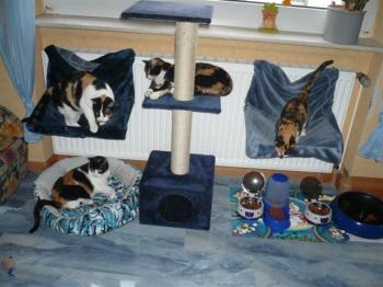 Holly Bild von Holly