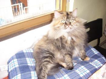 Cloe Bild von Cloe