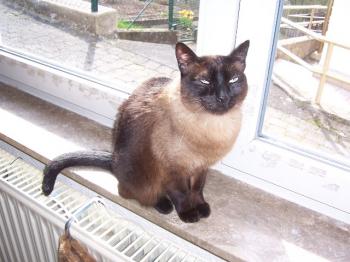 Mika Bild von Mika