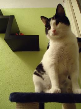 Jeremias Bild von Jeremias