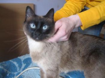 Bild von Muriel