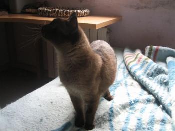 Bild von Muriel