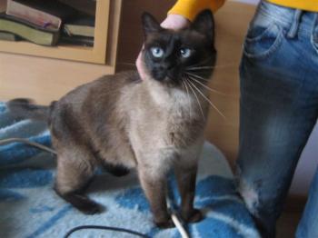 Bild von Muriel