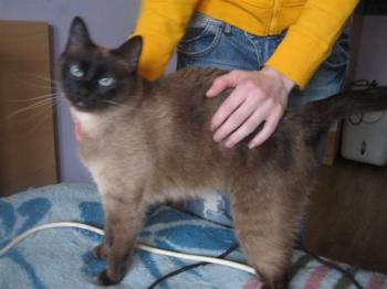 Bild von Muriel
