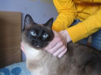 Bild von Muriel