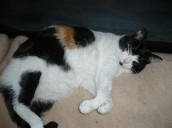 Bild von Mina