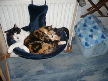 Bild von Mina