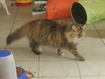 Cloe Bild von Cloe
