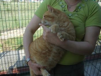 Ohne Bild von Loverboy