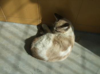 Ohne Bild von Tapsy
