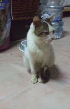 Freddie Bild von Freddie