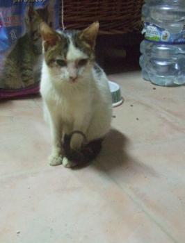 Freddie Bild von Freddie