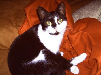 Bild von Jina