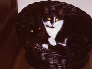 Bild von Jina