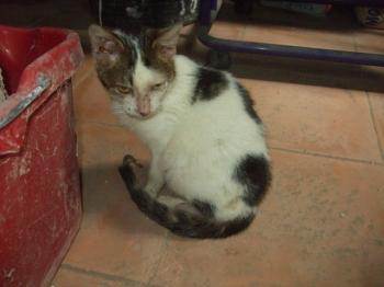 Freddie Bild von Freddie
