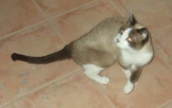 Aguelo Bild von Aguelo
