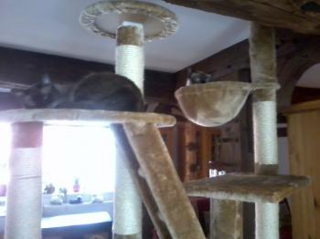 Beide Bild von Amadeus