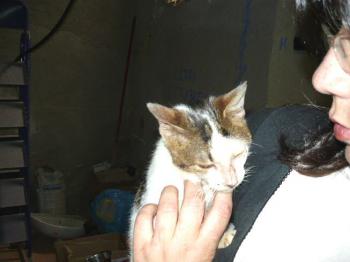 Freddie Bild von Freddie