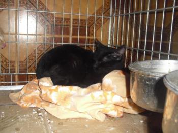 Bild von Vampi